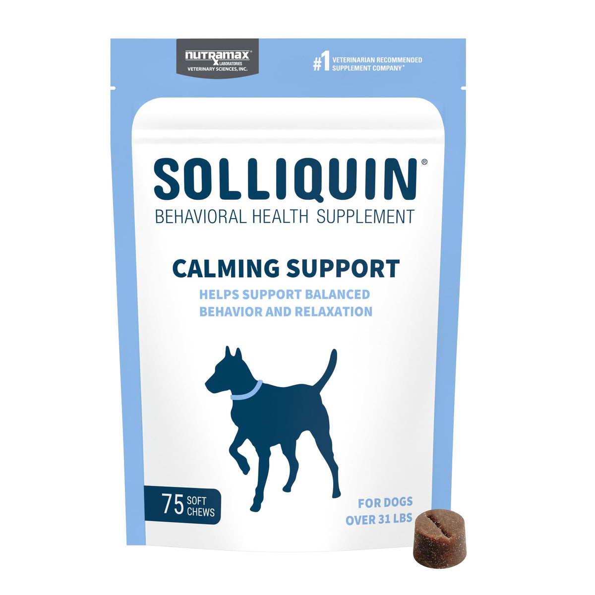 Nutramax Solliquin calming soft chews in a jar support relaxed dog behavior