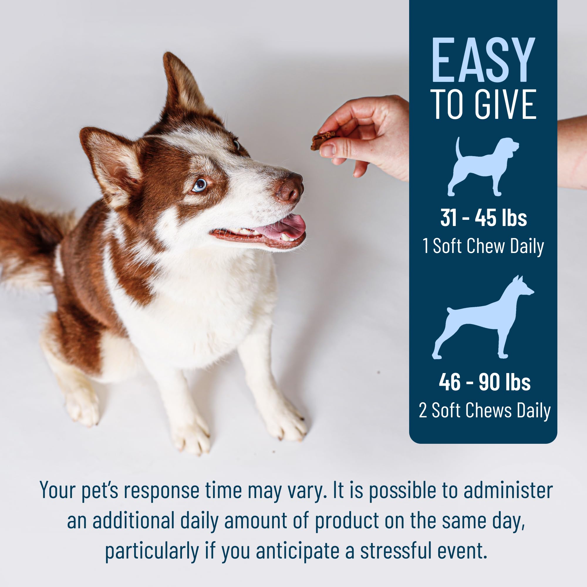 Front packaging of Solliquin shows easy daily use of calming chews