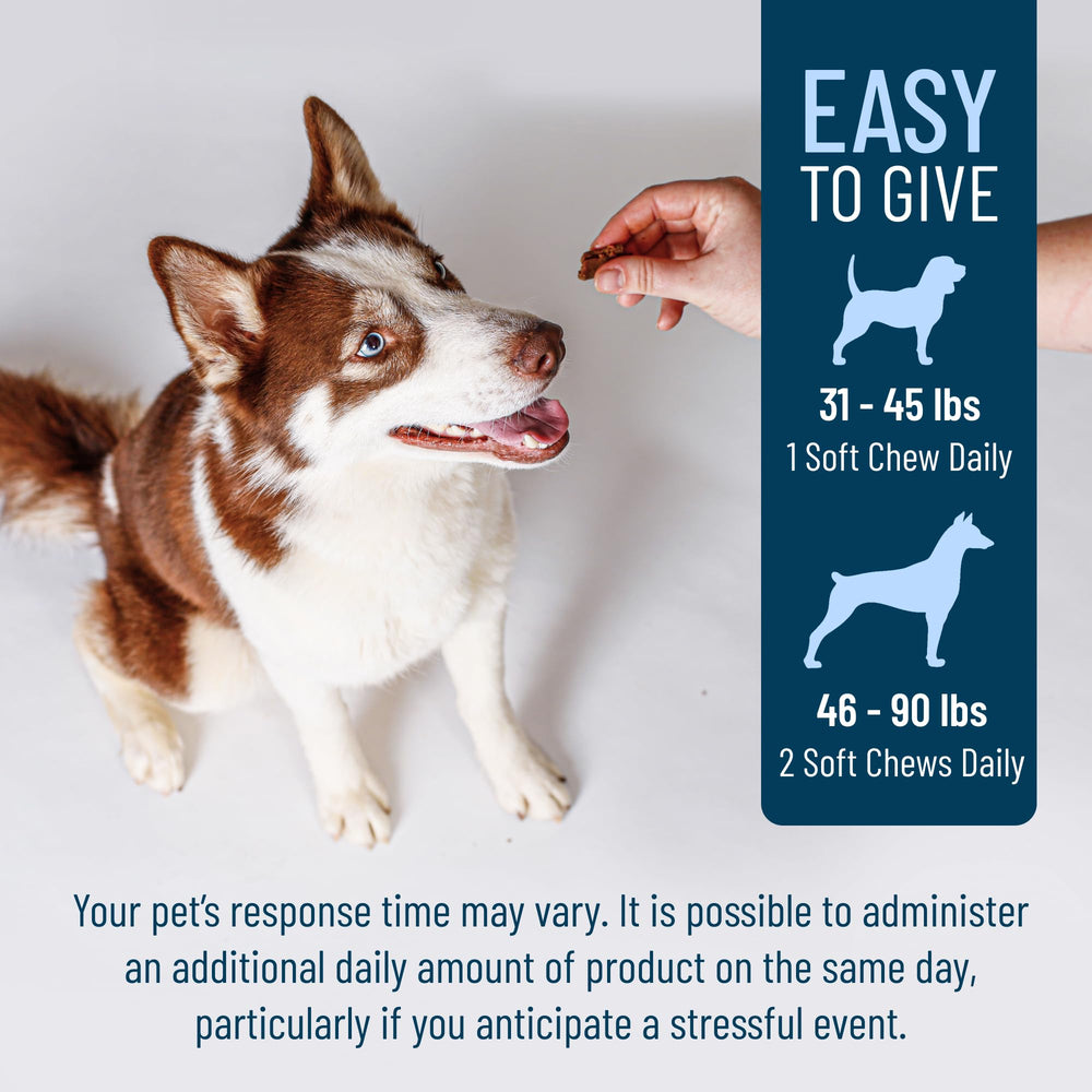 Front packaging of Solliquin shows easy daily use of calming chews