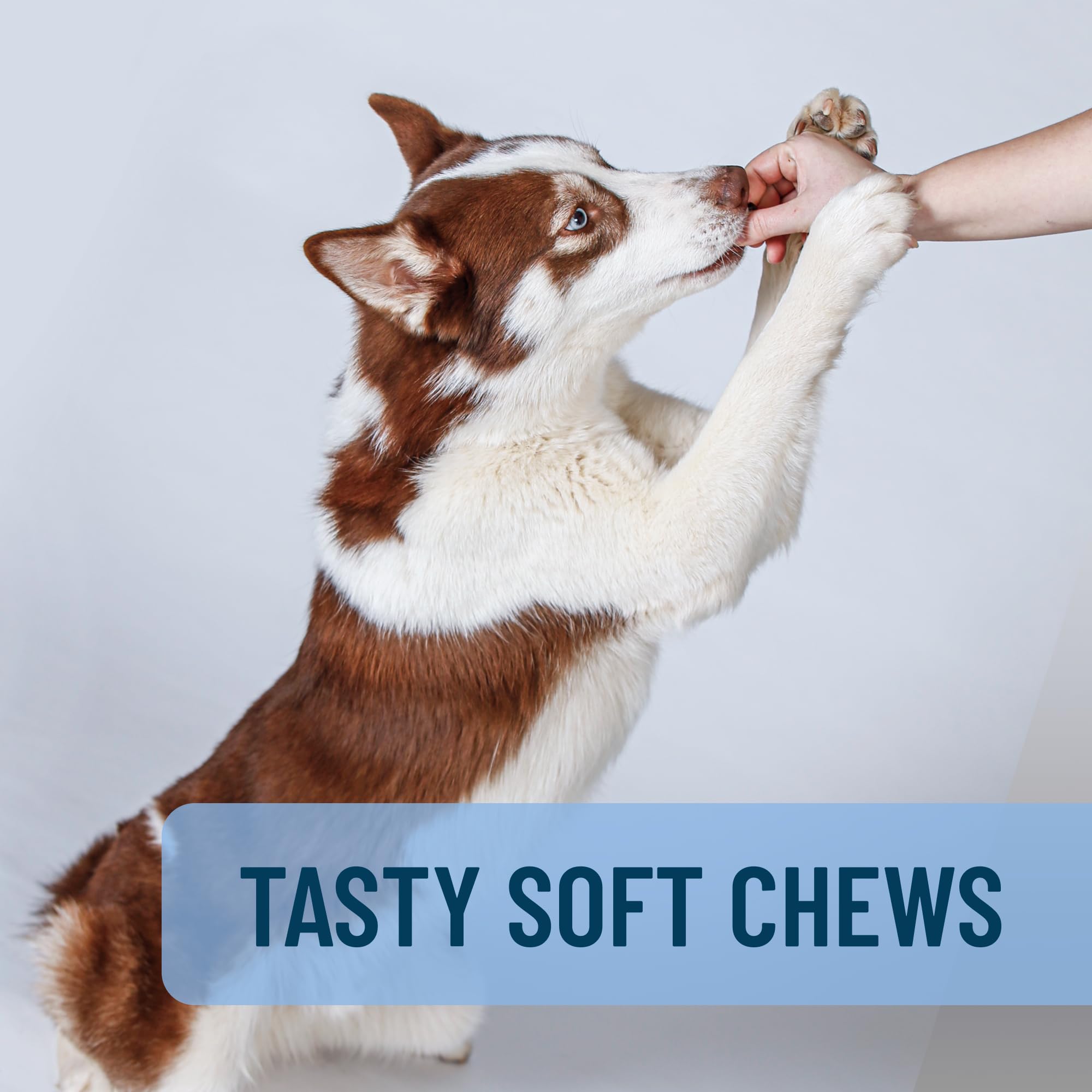 Travel-friendly Solliquin packaging makes it convenient for stressful trips with dogs