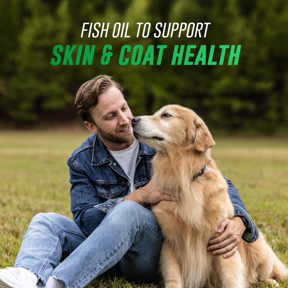 Nutramax Welactin may support immune and brain health in dogs.