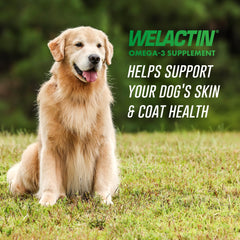 Welactin omega-3 for dogs poured over food supports daily coat vitality.