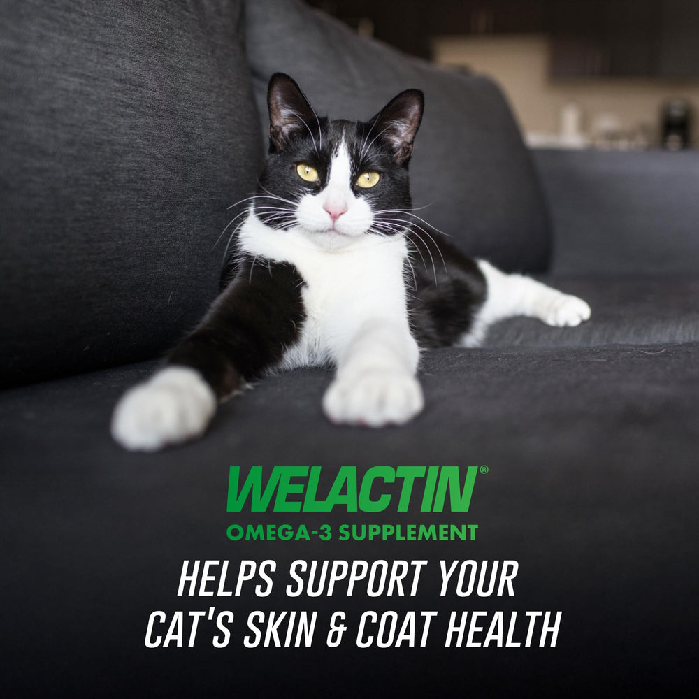 Nutramax Welactin omega-3 cat coat shine supports healthier fur