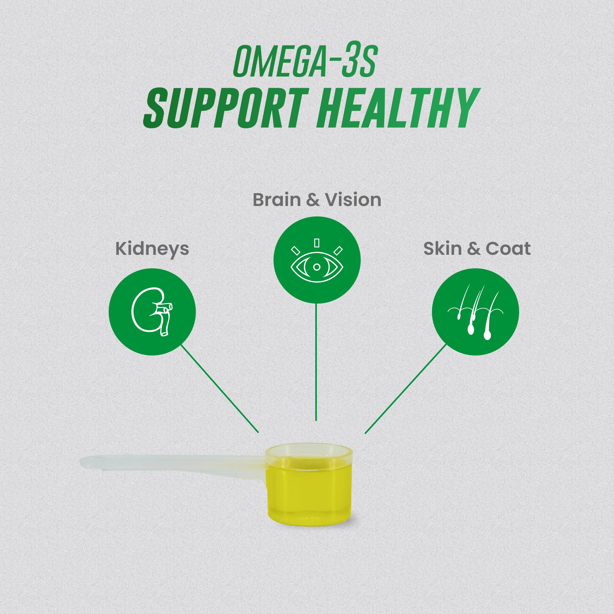 Nutramax Welactin omega-3 kidney brain vision support for cats
