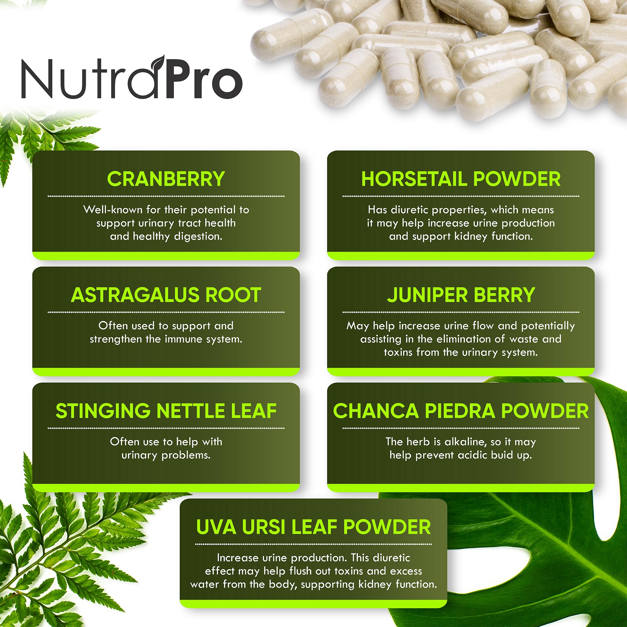 NutraPro Kidney Cleanse cranberry illustration signals urinary tract wellness.