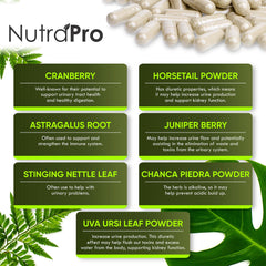 NutraPro Kidney Cleanse cranberry illustration signals urinary tract wellness.