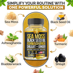 Nutravia Shilajit Elderberry gummies close-up signaling immune-friendly daily routine.