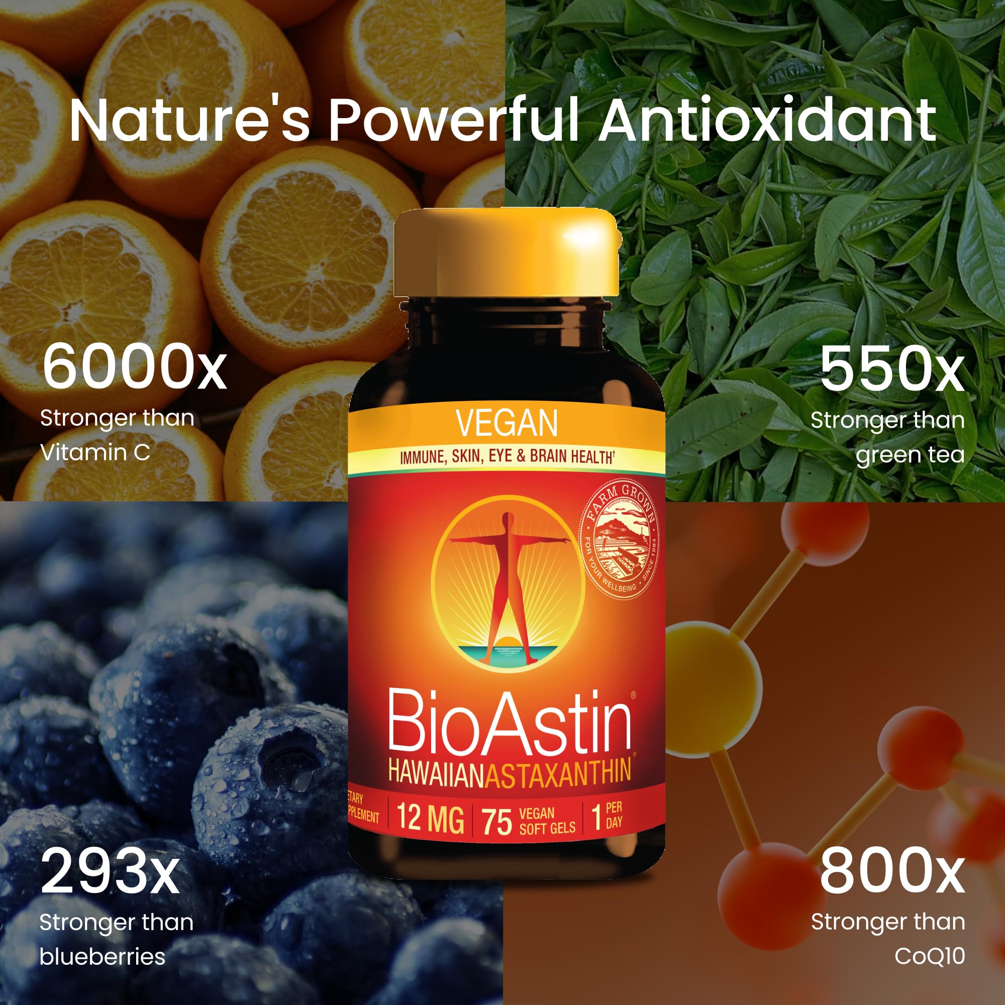 Nutrex Hawaii BioAstin farm-pond captures sunlit Hawaiian cultivation.