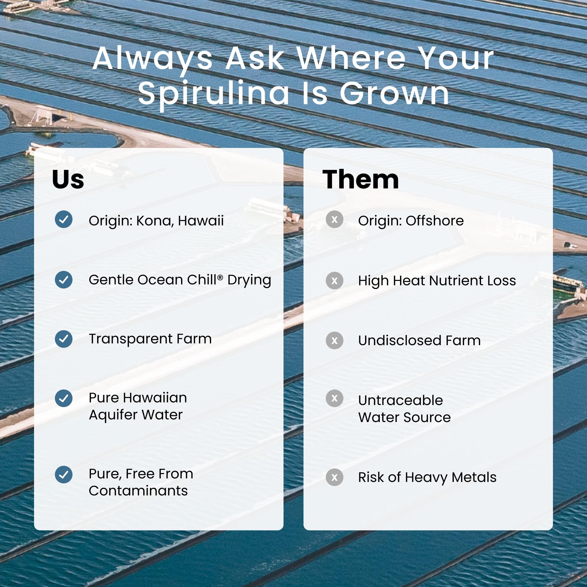 Nutrex Hawaii Spirulina bottle beside smoothie idea for everyday use.