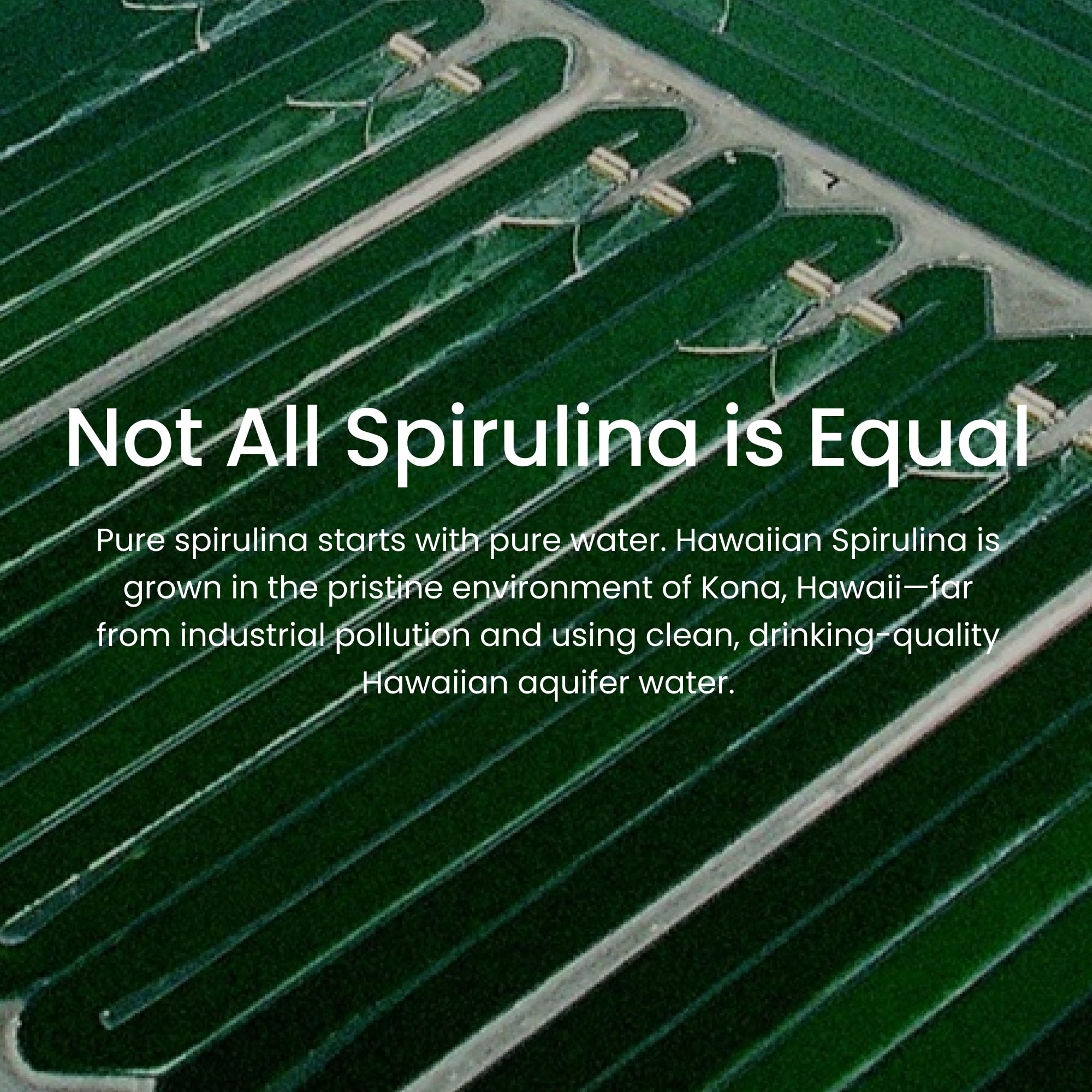 Nutrex Hawaii Spirulina ingredient graphic with phytonutrients and vitamins.