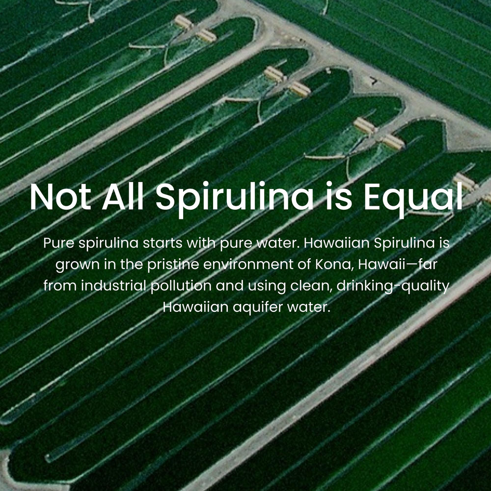 Nutrex Hawaii Spirulina ingredient graphic with phytonutrients and vitamins.