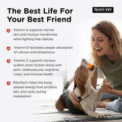 Nutri-Vet Multi-Vite chews close-up showing bone and coat health benefits