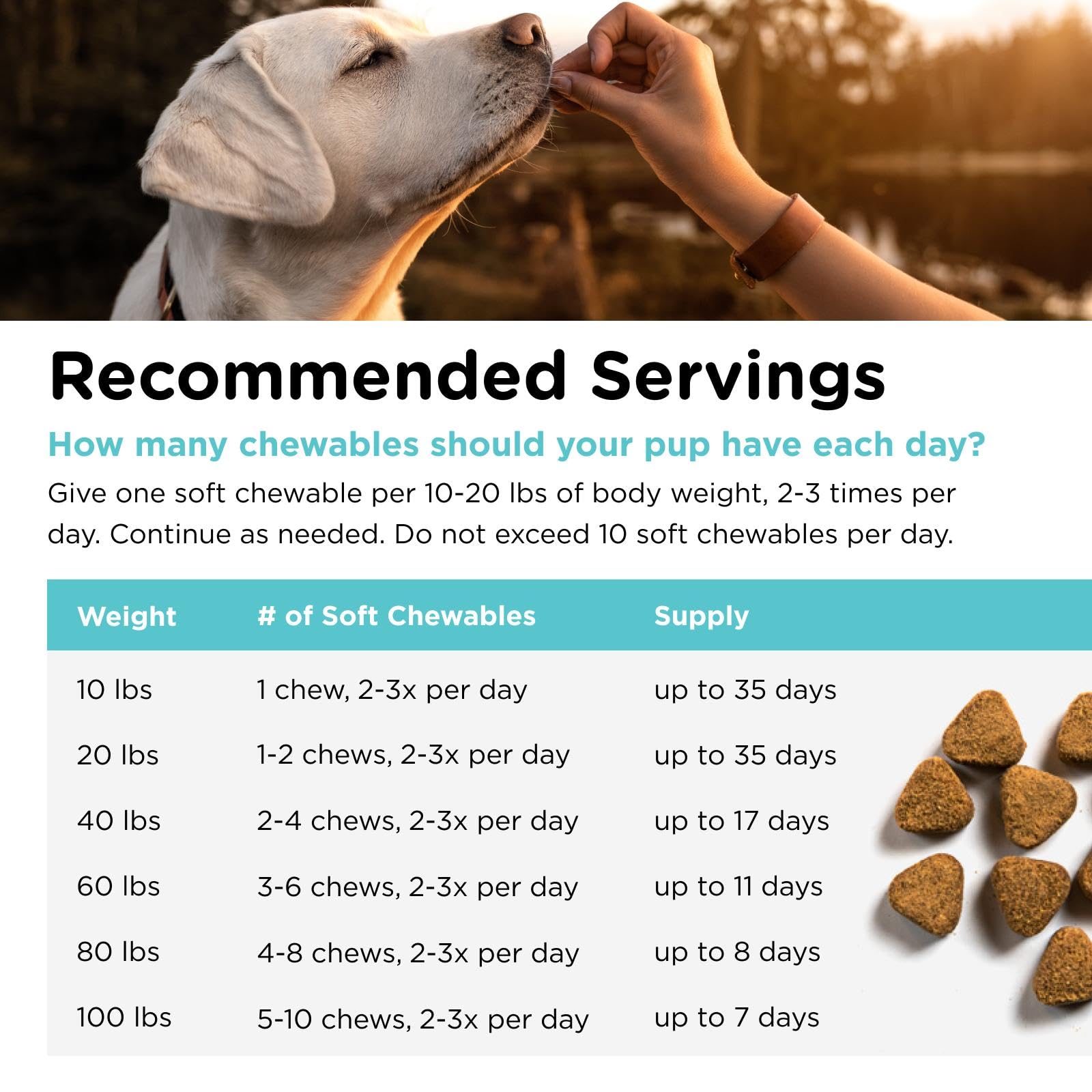 Nutri-Vet Pet-Ease Chews: boîte voyage pratique pour déplacements stressants.