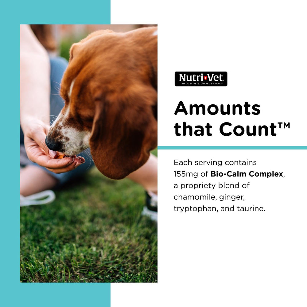 Nutri-Vet Pet-Ease Chews: main montrant les friandises, utilisation quotidienne facile.