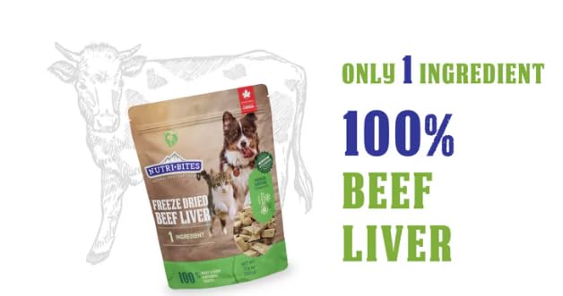 Nutri Bites freeze-dried beef liver treats for dogs