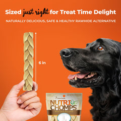 NutriChomps rawhide-free dog chews, easy to digest and stomach-friendly