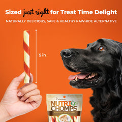 NutriChomps rawhide-free dog chews designed for easy digestion