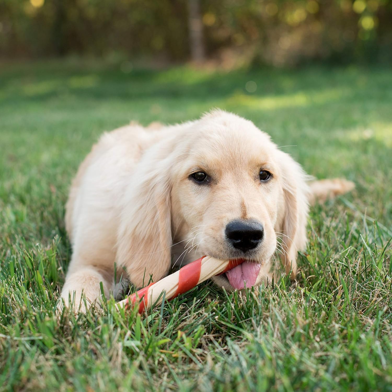 NutriChomps rawhide-free chew, easy to digest for sensitive stomachs