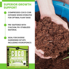 Nutrifield coco coir mega brick soak and expand after water absorption