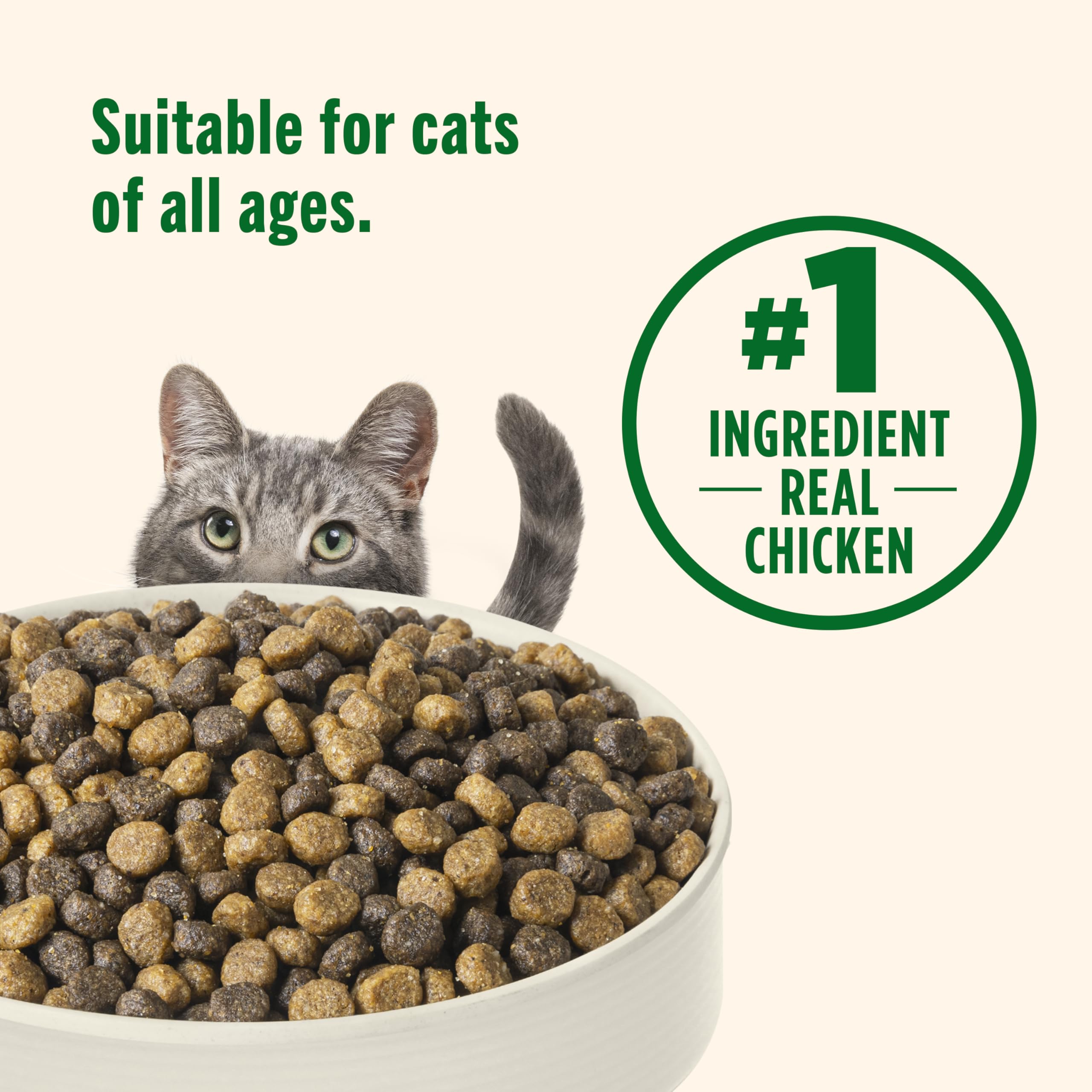 Nutrish-packaging-6lb-bag highlights a durable 6-pound bag for convenient feeding.
