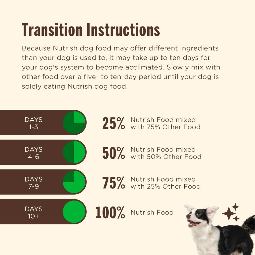 Nutrish dog bowl served meal ready to enjoy