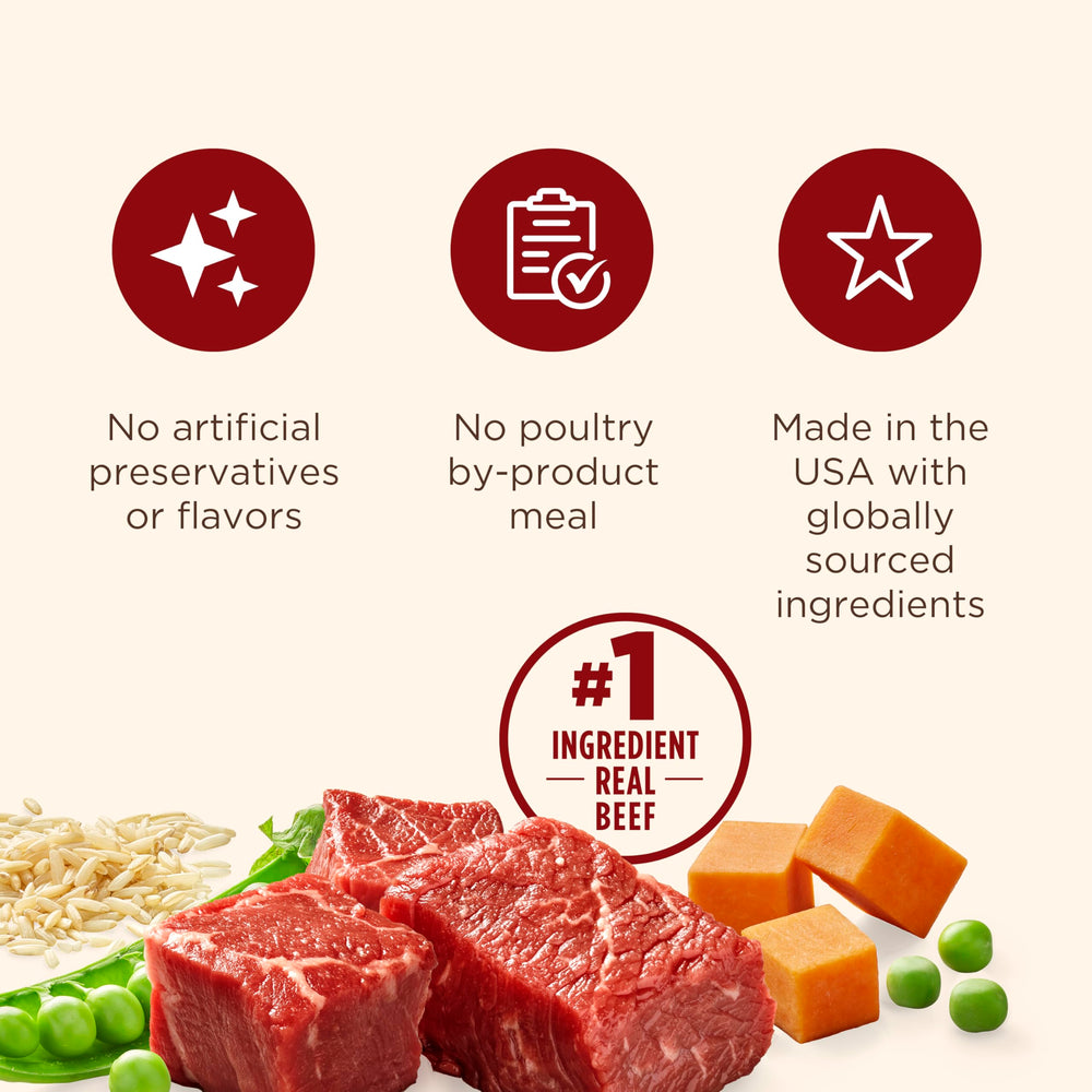 Close-up of Nutrish Real Beef & Pumpkin ingredients featuring beef and pumpkin