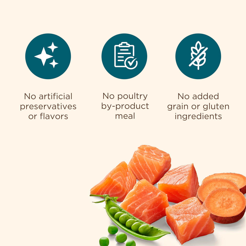 Nutrish meal serving bowl with kibble—easy daily feeding idea.