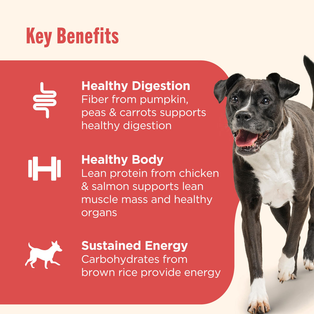 Nutrish no poultry by-product meal packaging shot emphasizes clean ingredients.