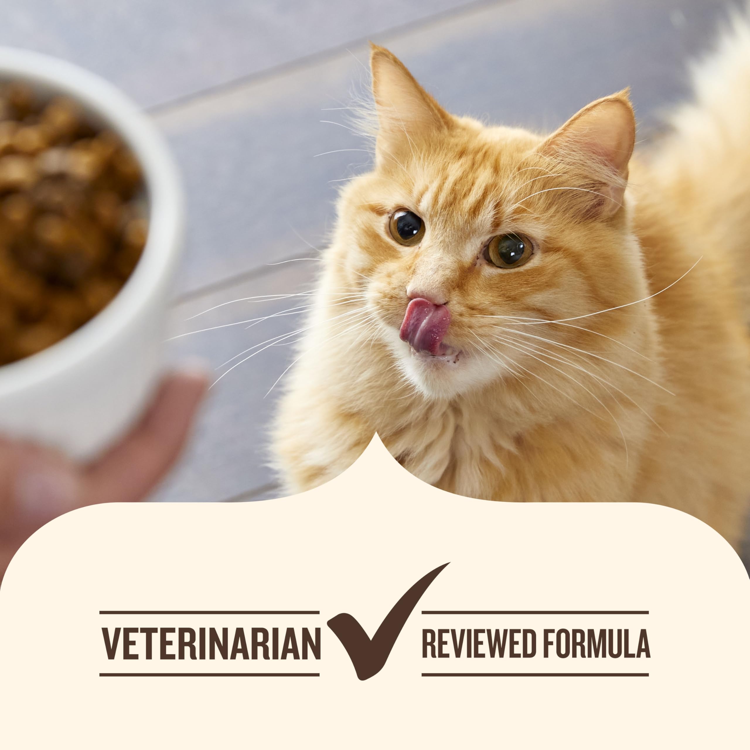 Nutrish-rachael-ray-foundation-support indicates donations to help animals in need.