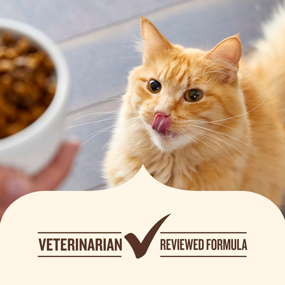 Nutrish-rachael-ray-foundation-support indicates donations to help animals in need.