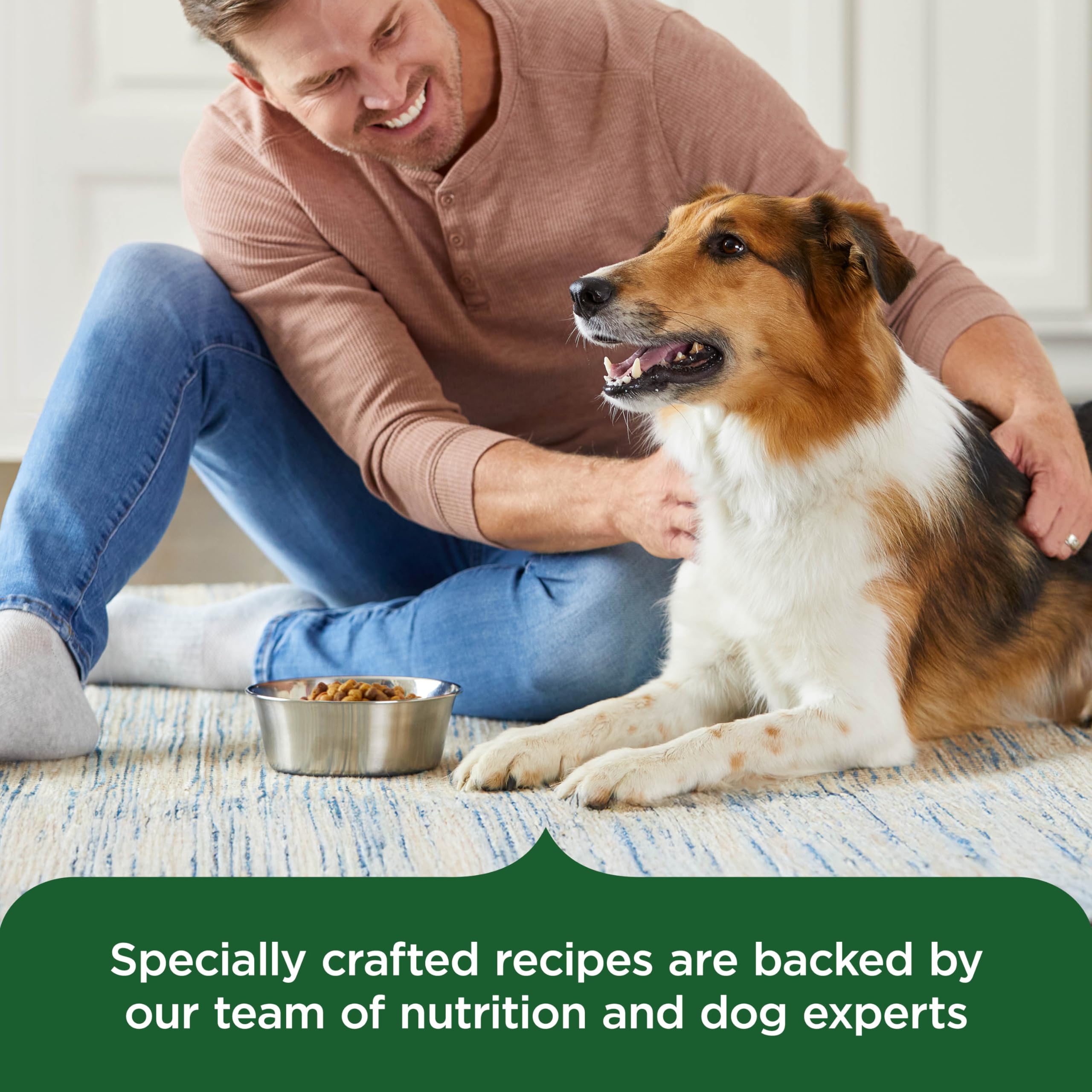 Rachael Ray Foundation logo indicating support for animals in need.