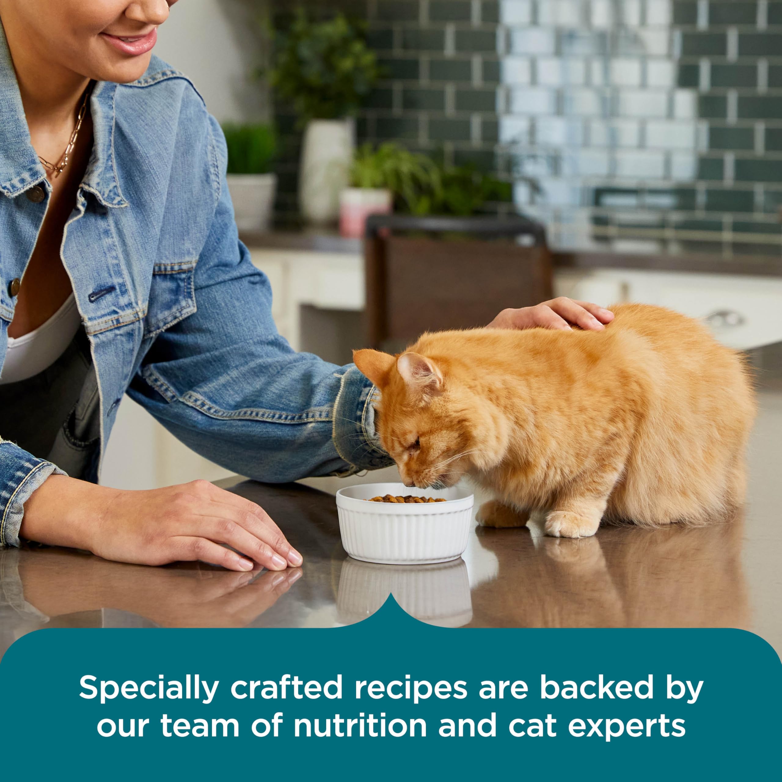 Nutrish Rachael Ray Foundation logo indicating charitable animal support