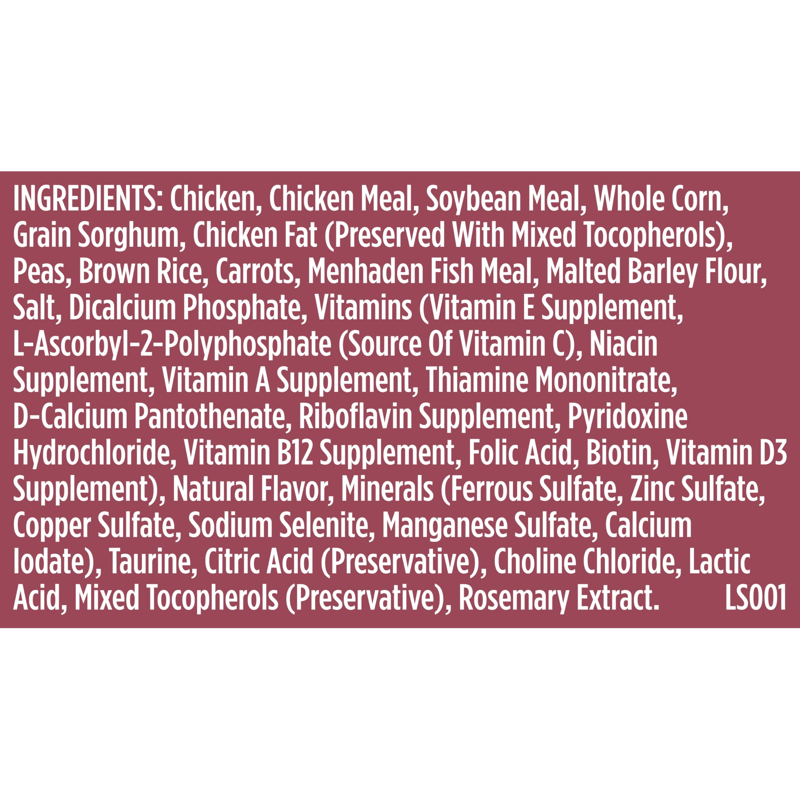 Two daily meals guidance visual: portion control for adult small breed dogs.