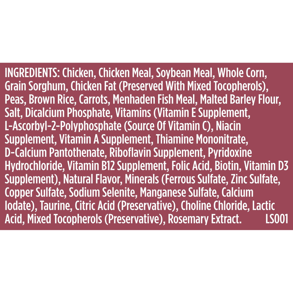 Two daily meals guidance visual: portion control for adult small breed dogs.