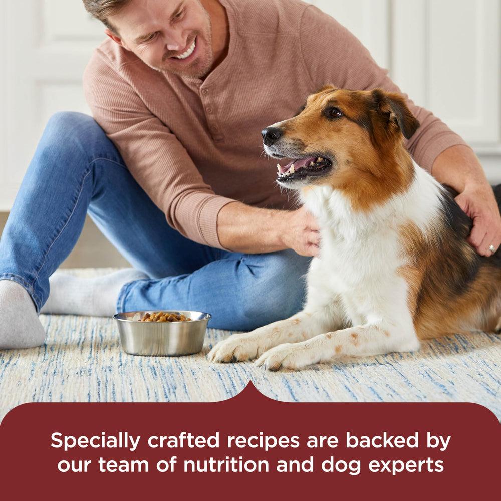 Nutrish Rachael Ray vet-reviewed formula supports balanced adult dog nutrition.