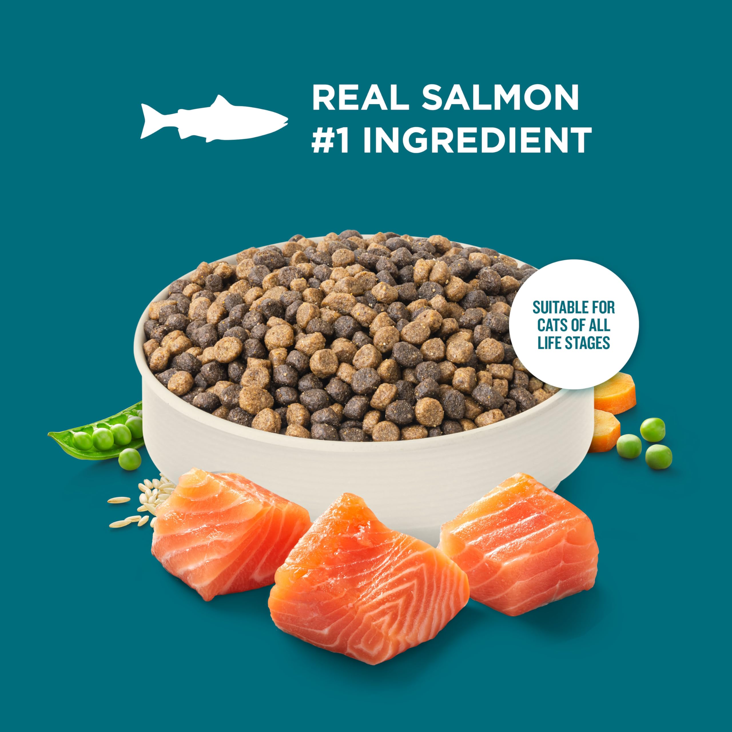Nutrish Rachael Ray veterinarian-reviewed recipe emphasizes trusted nutrition