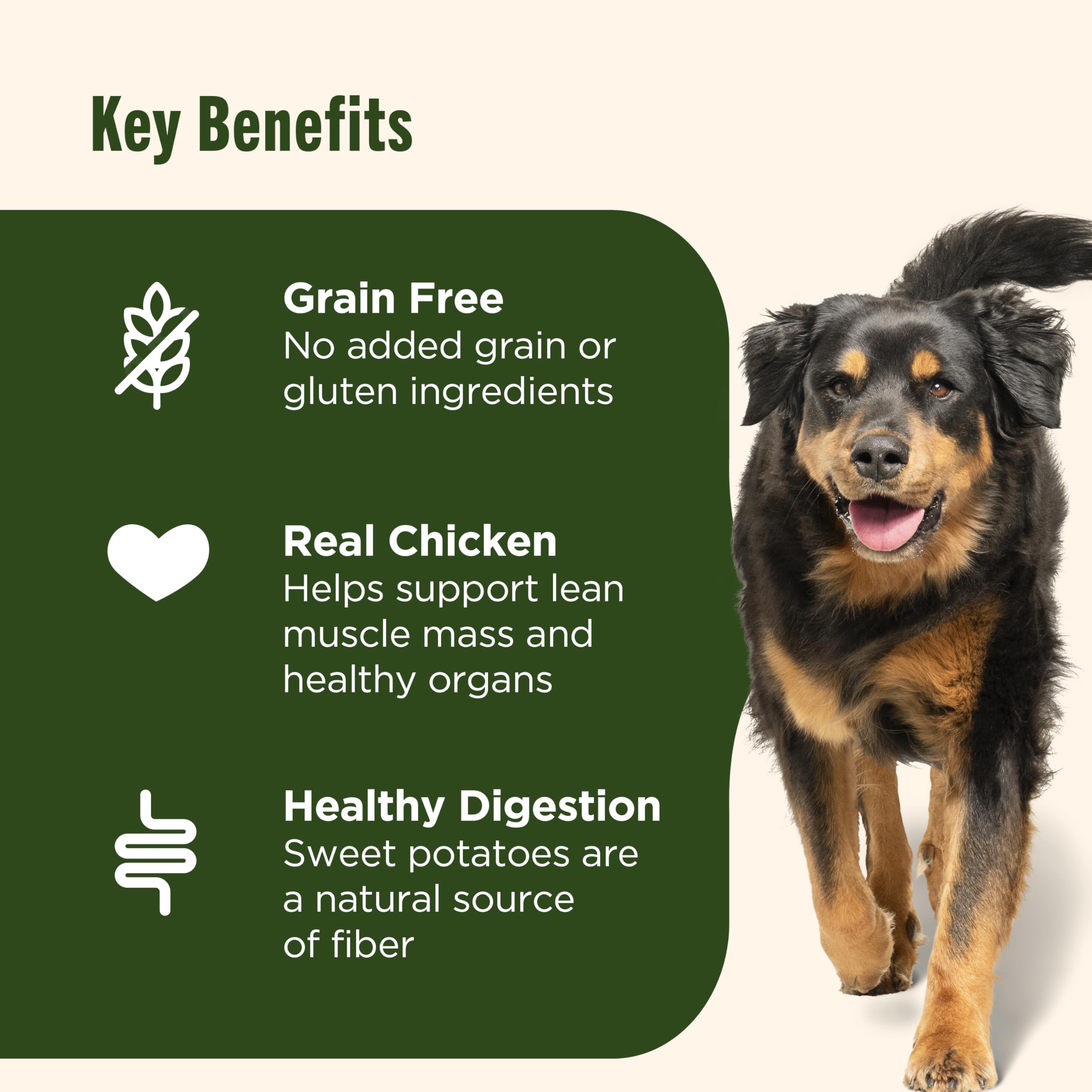 Nutrish sweet-potato fiber closeup emphasizing digestion support