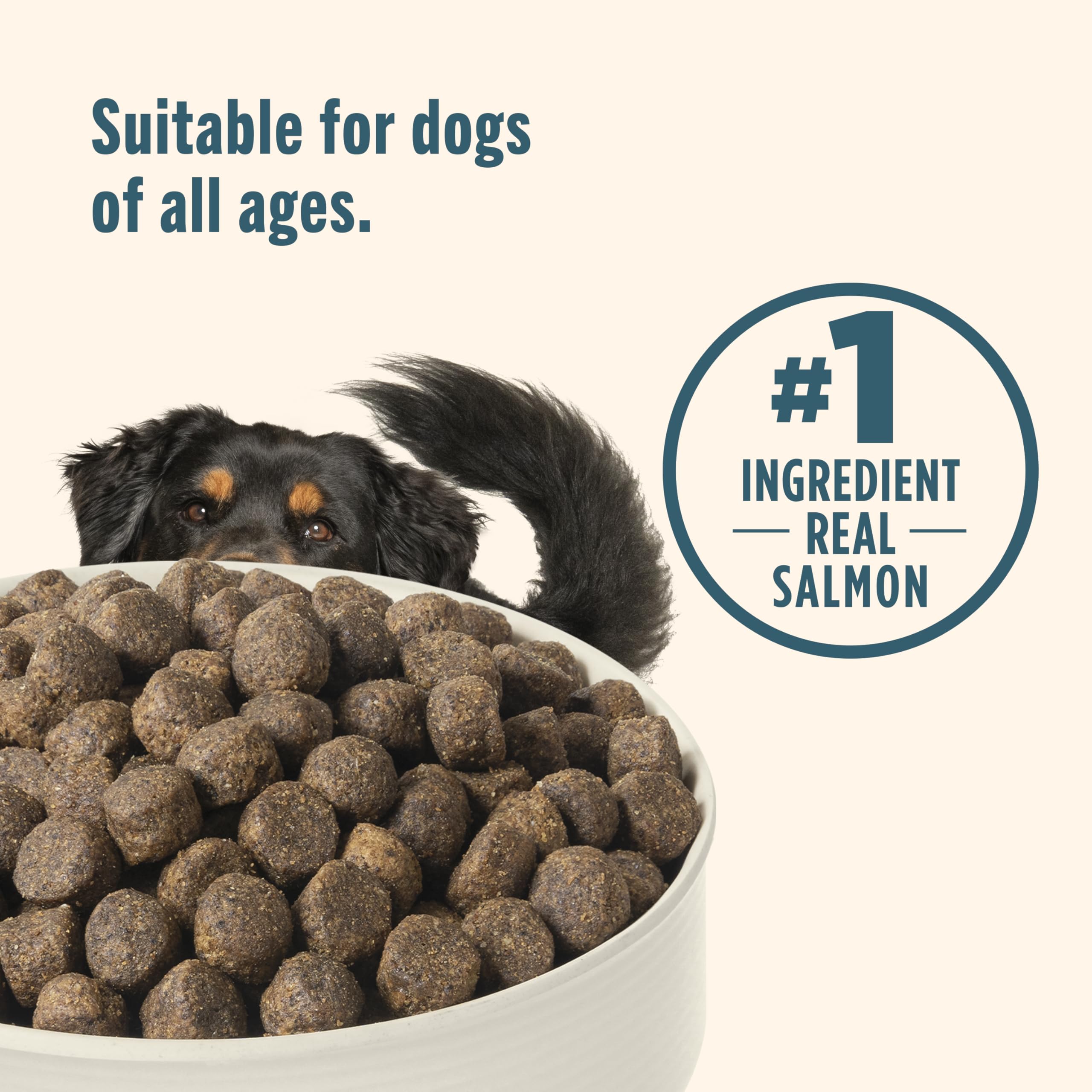 Nutrish sweet potato fiber close-up—supports healthy digestion.