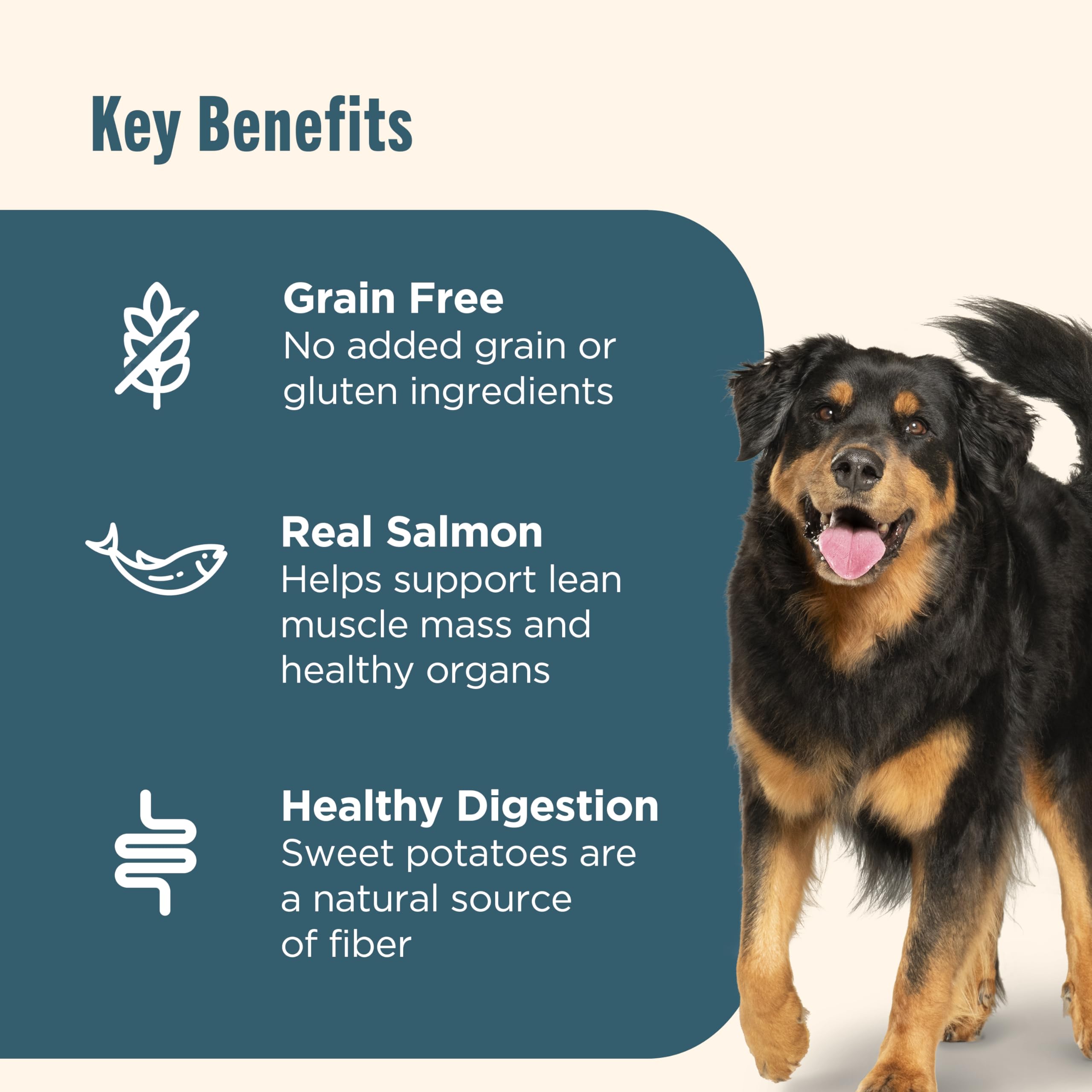 Nutrish vitamins minerals Taurine-added close-up—balanced daily nutrition.