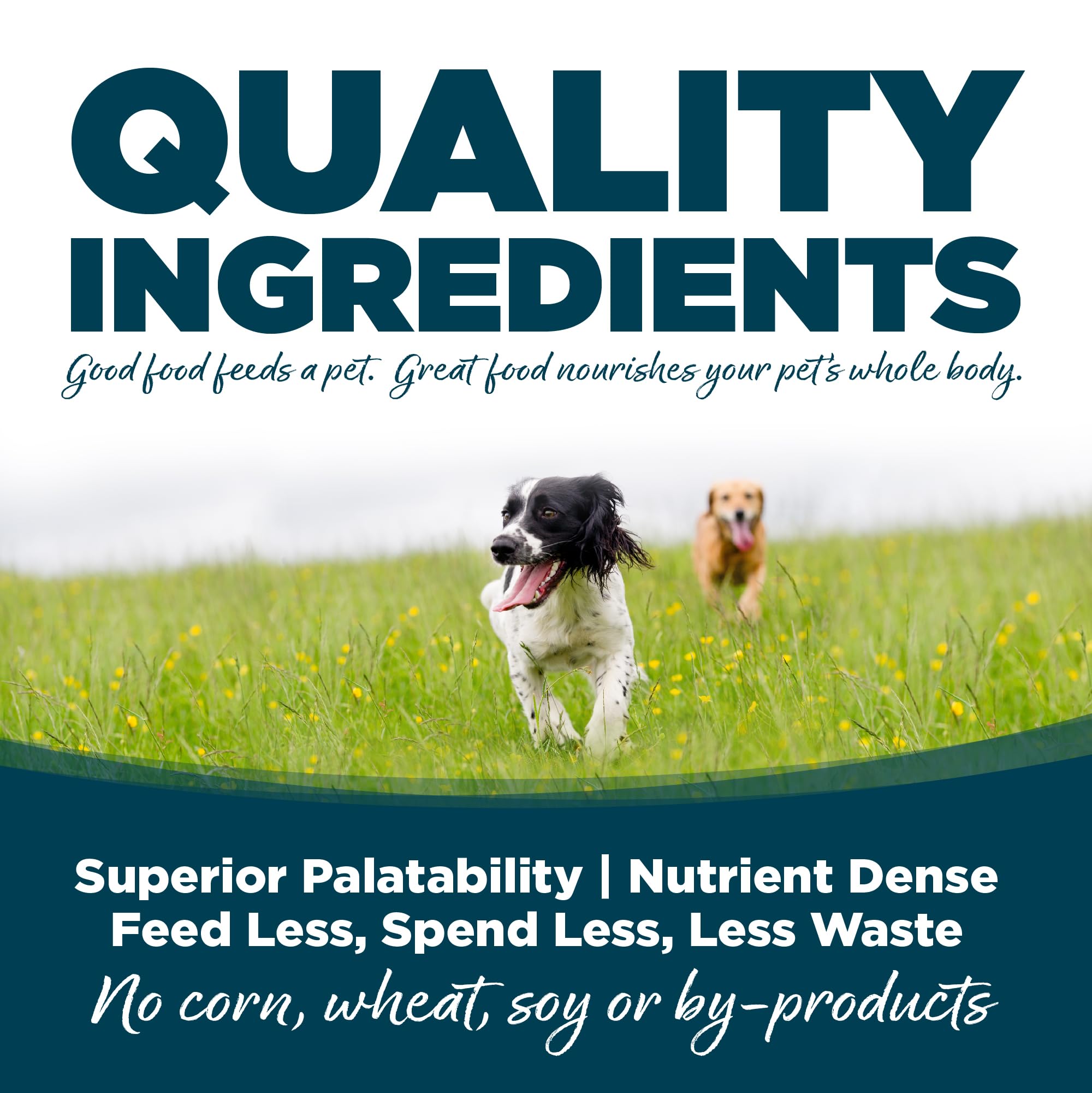 Grain-inclusive formula with prebiotics and probiotics for gut-friendly digestion.