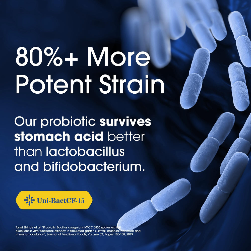 Nutrition Essentials Probiotics with Nutri-Fructo B-88 for gut-friendly fiber