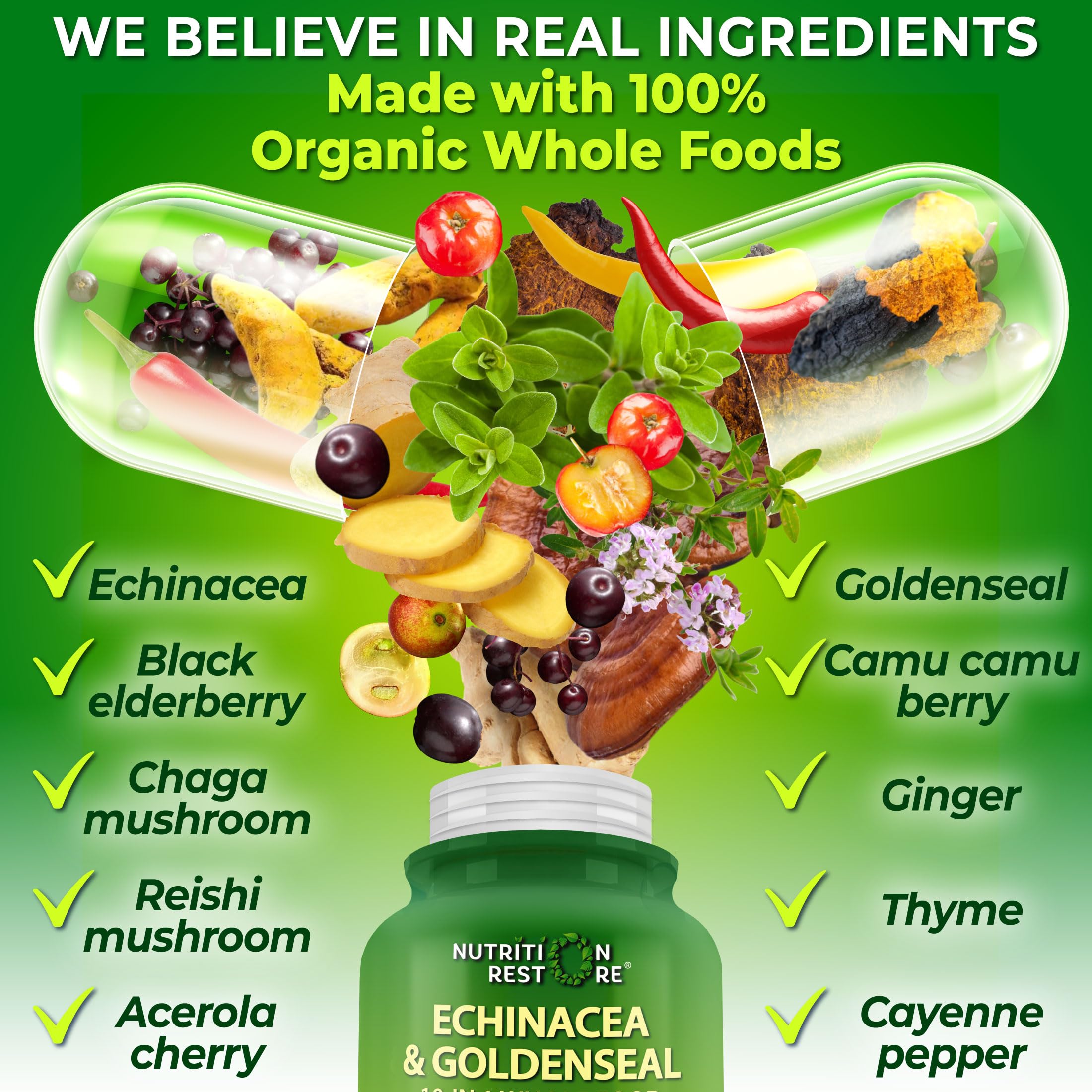 Nutrition Restore Echinacea Goldenseal ingredients jar label showcases plant-based formula.