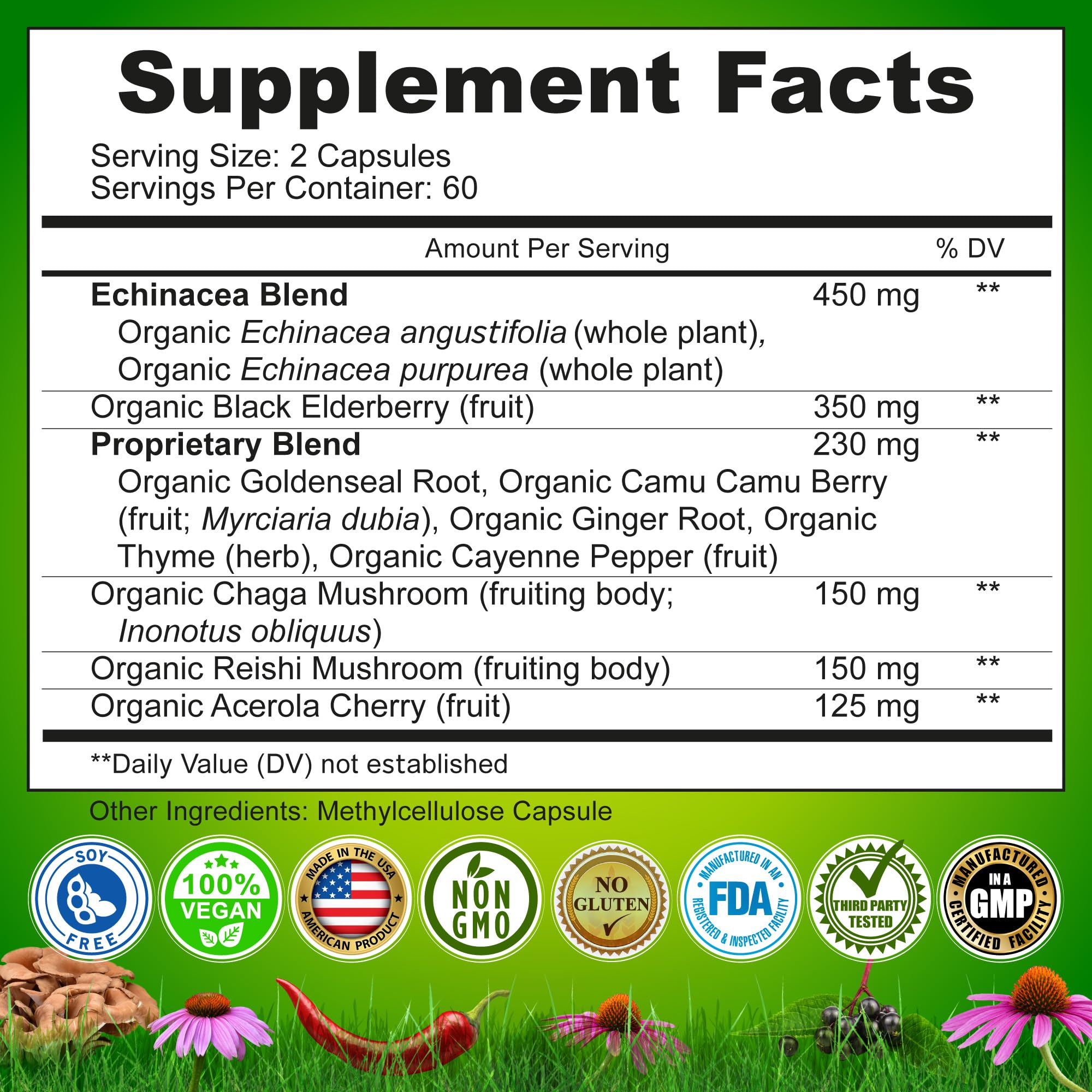 Nutrition Restore Echinacea Goldenseal packaging notes free-from fillers.
