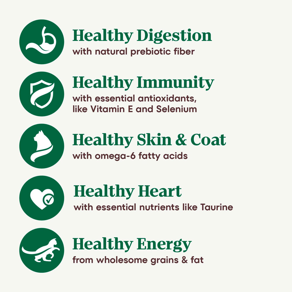 Nutro antioxidants vitamin-e-selenium support immune health in aging cats
