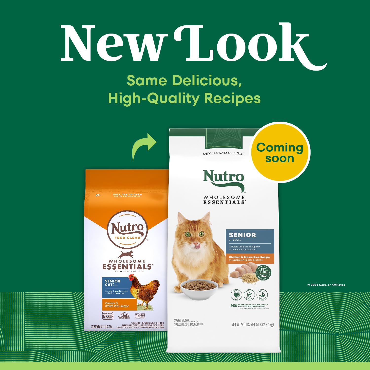 Nutro senior food real-chicken ingredient supports steady protein for seniors