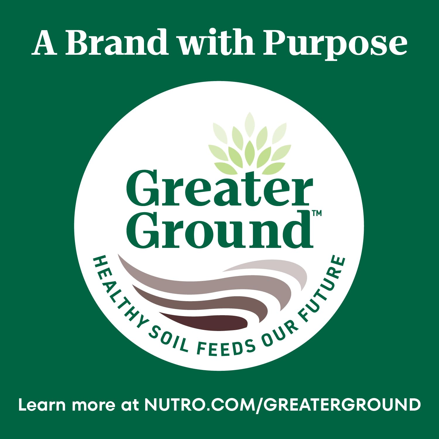 Nutro senior kibble texture provides satisfying crunch for daily feeding