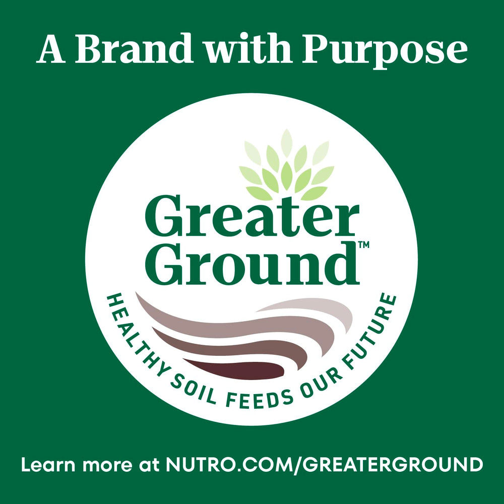 Nutro senior kibble texture provides satisfying crunch for daily feeding