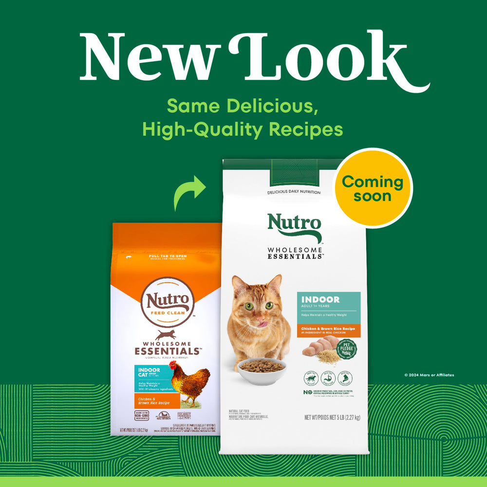 Nutro Wholesome Essentials demonstrates antioxidants like Vitamin E and Selenium for whole-body wellness