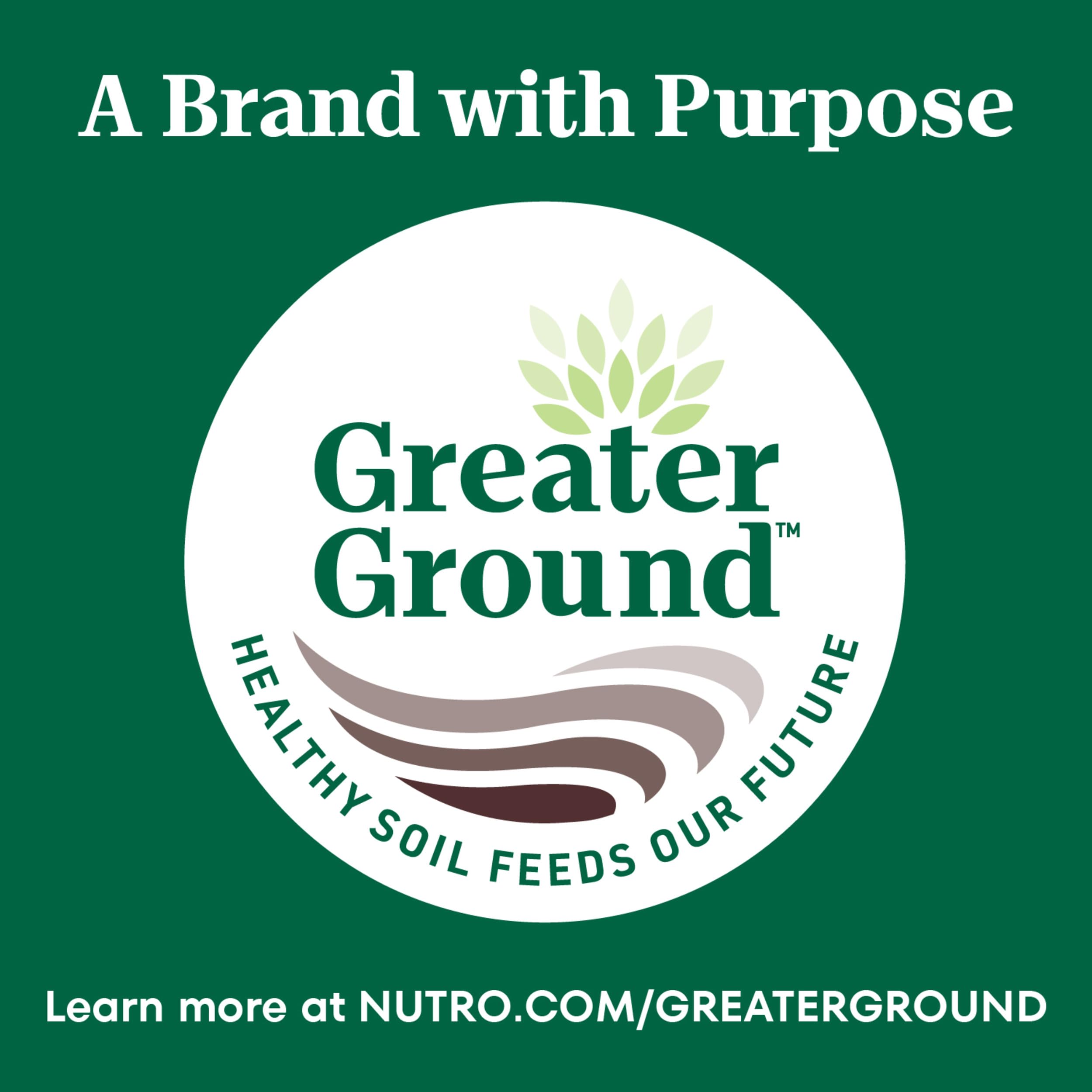 Nutro Wholesome Essentials supports a healthy lifestyle for indoor cats with balanced ingredients