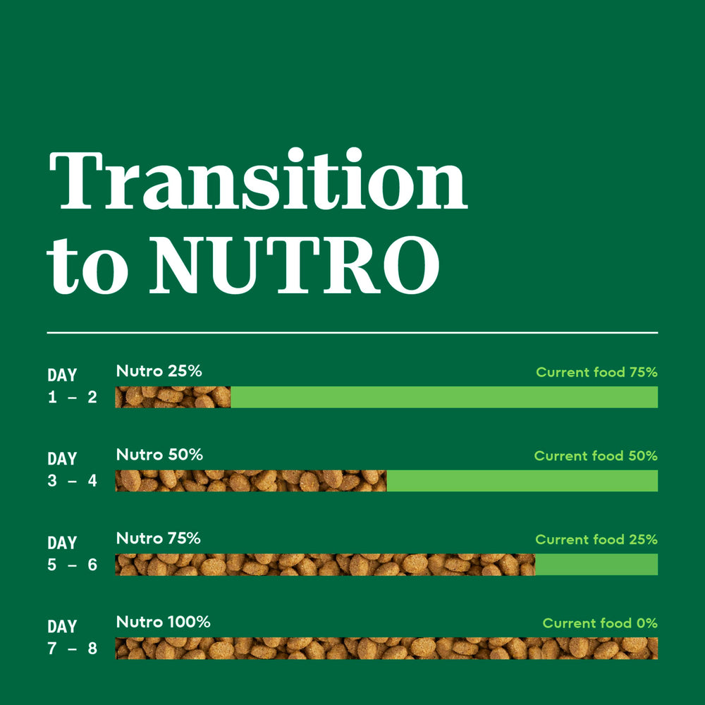 Nutro Wholesome Essentials for indoor cats emphasizes digestive health and steady energy